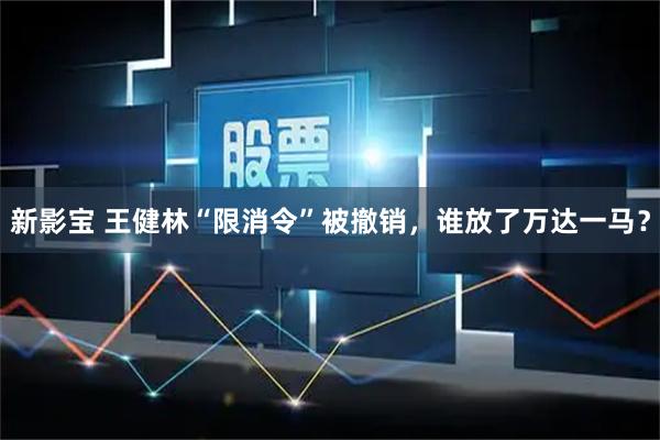 新影宝 王健林“限消令”被撤销，谁放了万达一马？