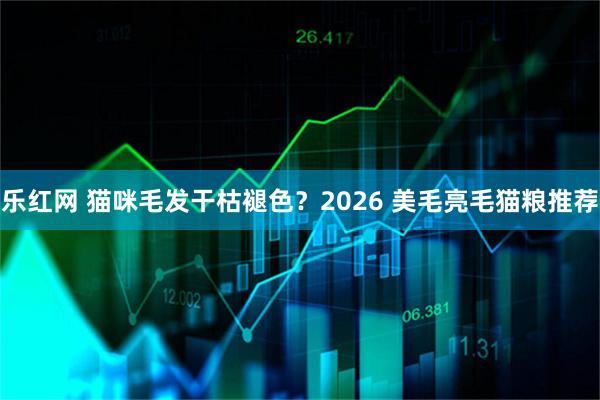 乐红网 猫咪毛发干枯褪色？2026 美毛亮毛猫粮推荐