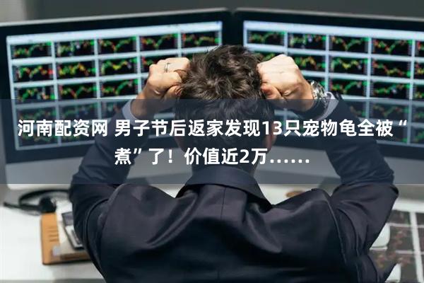 河南配资网 男子节后返家发现13只宠物龟全被“煮”了！价值近2万……